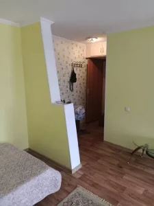 Однушка студия — фото 6
