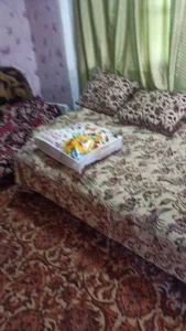 Дача посуточно — фото 2